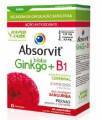 Absorvit Ginkgo Biloba + B1 Comprimidos